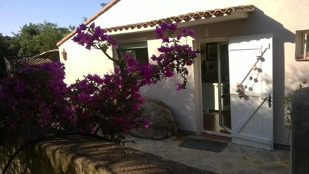 Minivilla "Riventosa" - Santa Giulia - 50 Passi Dal Mare Porto Vecchio Esterno foto